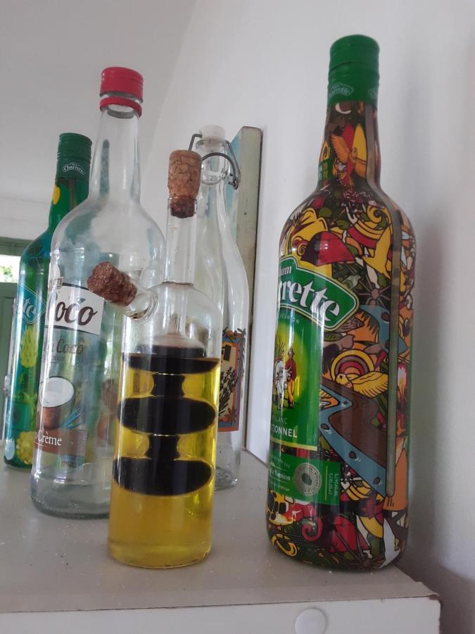 Hotel Le Tulear - Aux 4 Coins Du Monde Saint Pierre Zewnętrze zdjęcie